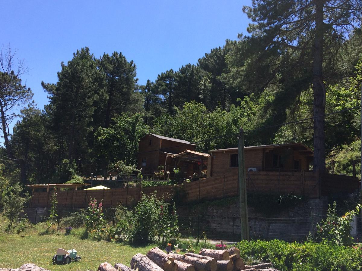 Chalet Vezzani Spa Exterior foto